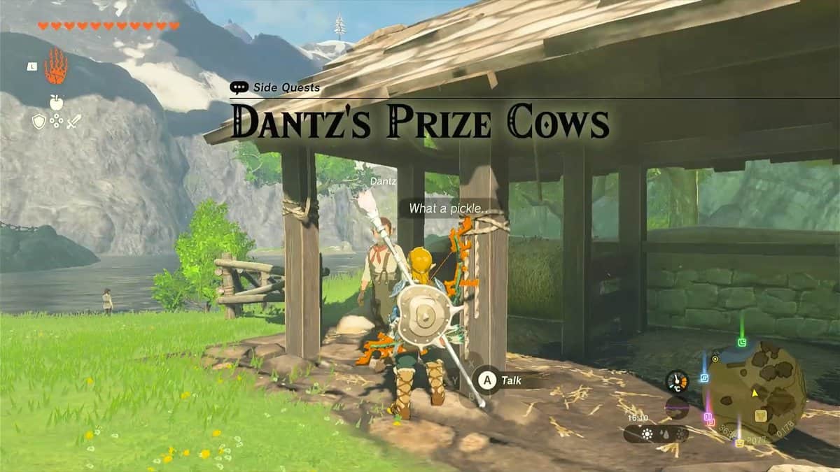 tears of the kingdom dantz prize cows