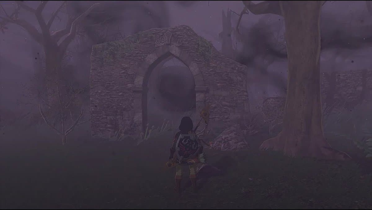 Enter Korok Forest through Lost Woods in Zelda Tears of the Kingdom