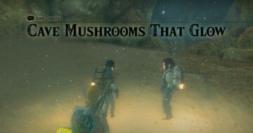 Tears Of The Kingdom Cave Mushrooms That Glow Walkthrough 1