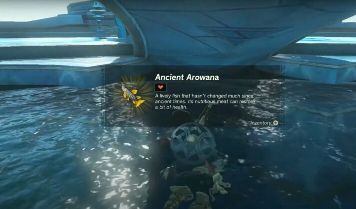 Where To Find Ancient Arowana In Zelda: Tears Of The Kingdom