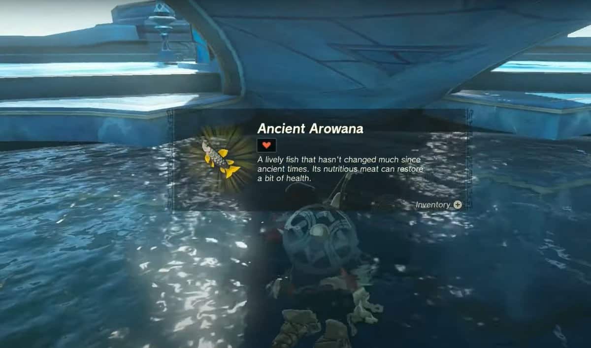 Zelda: TotK Ancient Arowana Location Guide