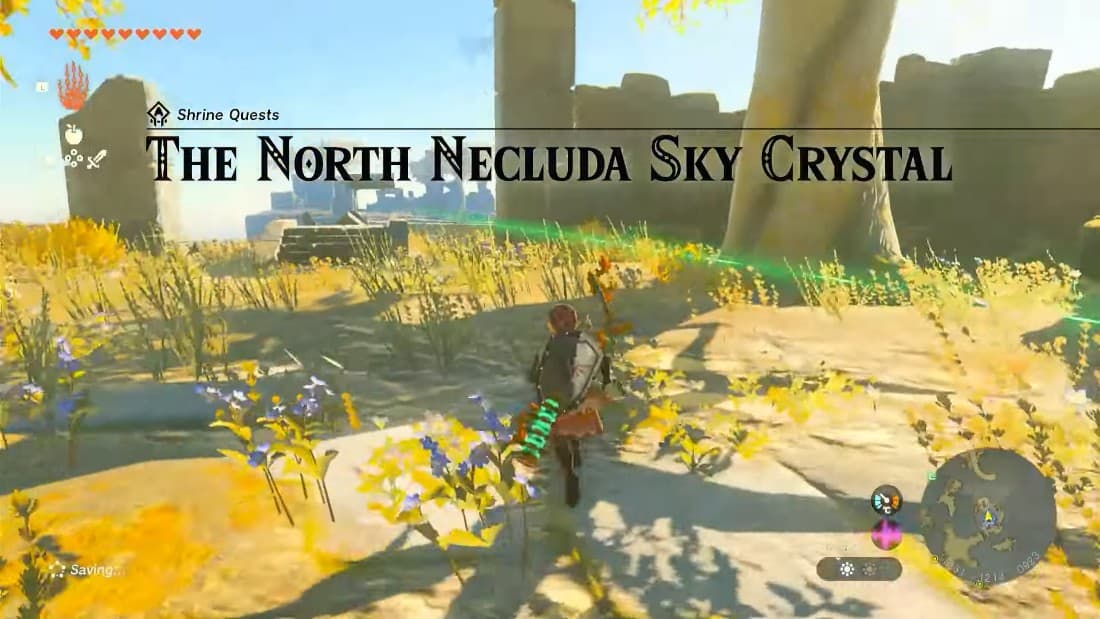 Zelda: Tears Of The Kingdom The North Necluda Sky Crystal Guide