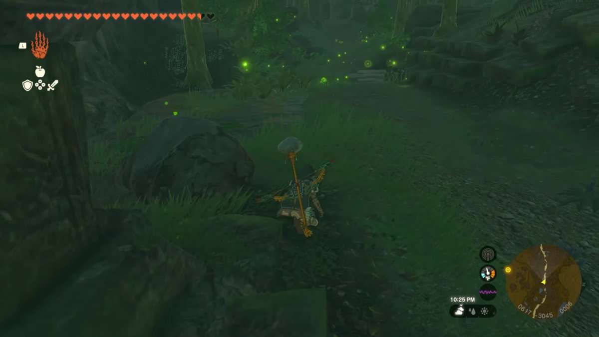Deep Fireflies in Zelda Tears of the Kingdom