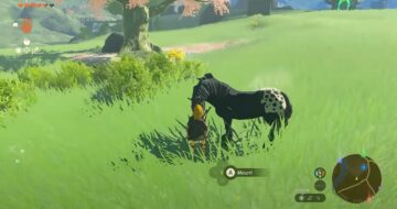 Feed Horses in Zelda Tears of the Kingdom