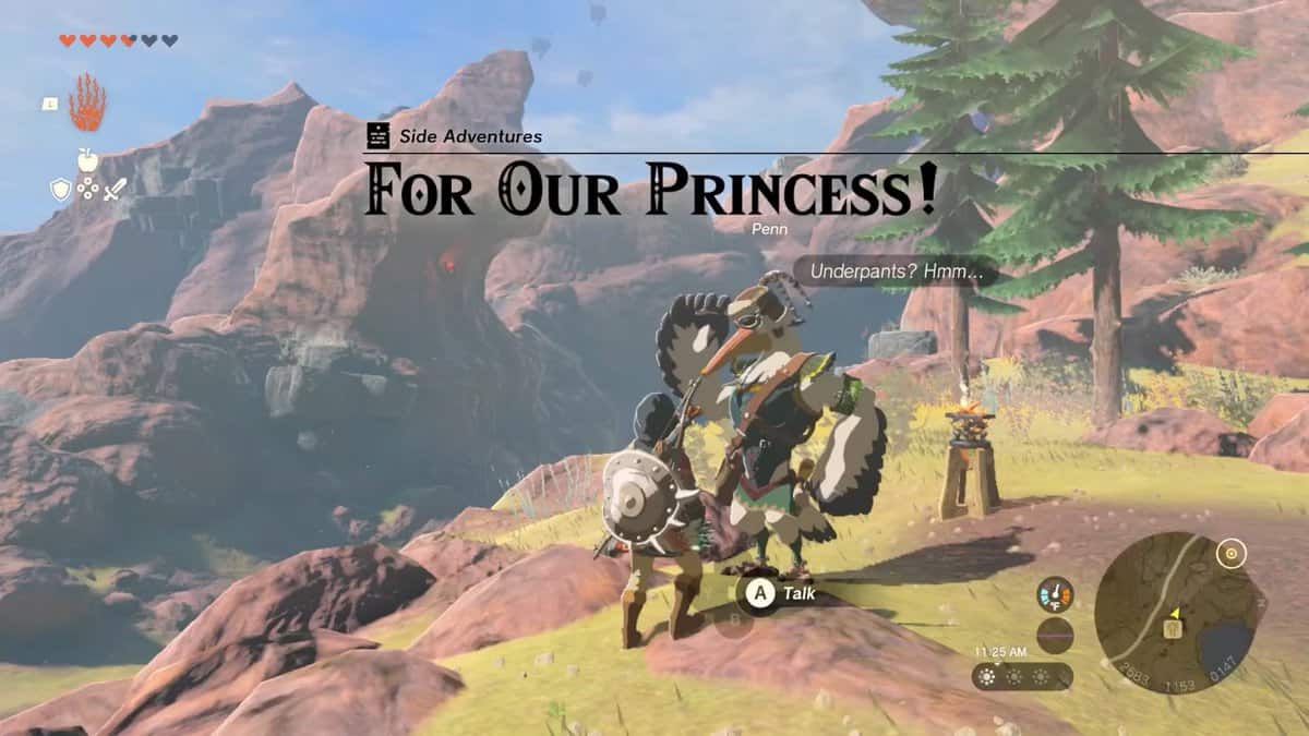 Zelda: Tears Of The Kingdom For Our Princess Walkthrough