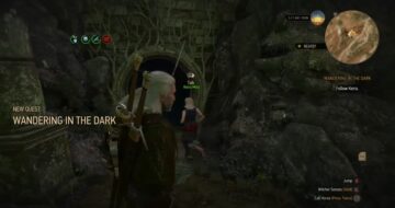 The Witcher 3 Wandering In The Dark