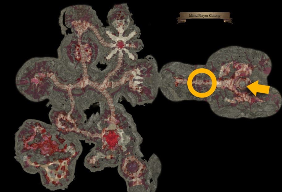 BG3 Ketheric Thorm location in the Mind Flayer colony