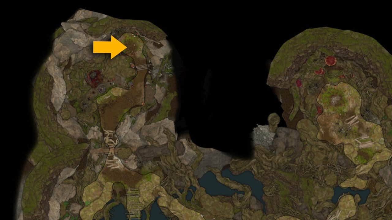 The map location of the Overgrown Tunnel in Baldur's Gate 3
