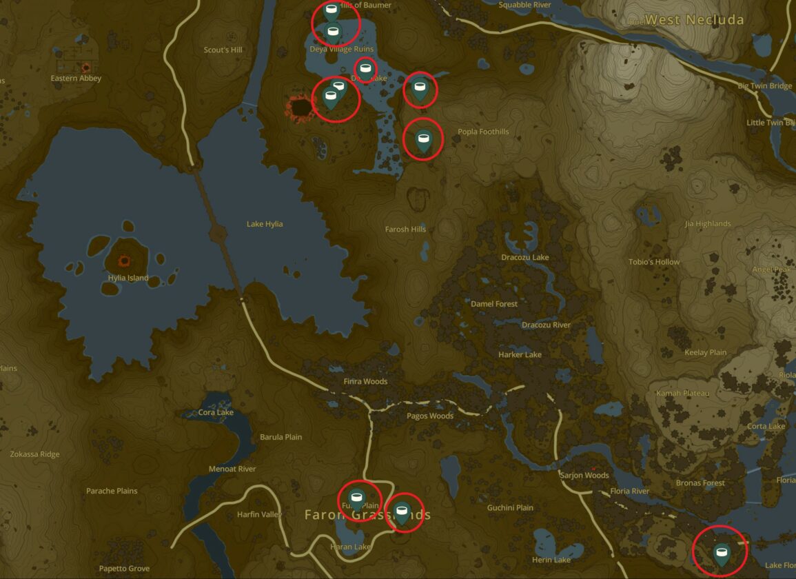 Faron Grasslands Wells Map in Zelda TotK