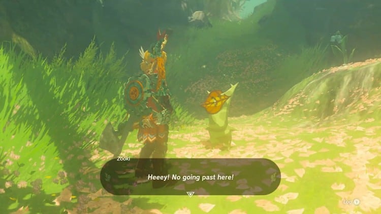 Link and Zooki Talking