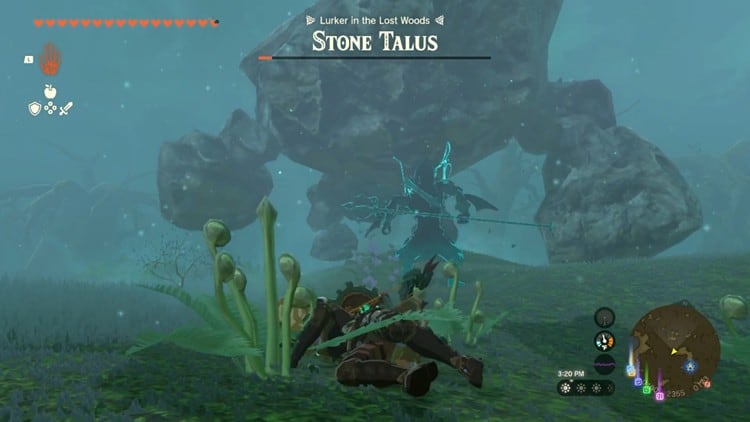 Link Fighting Stone Talus