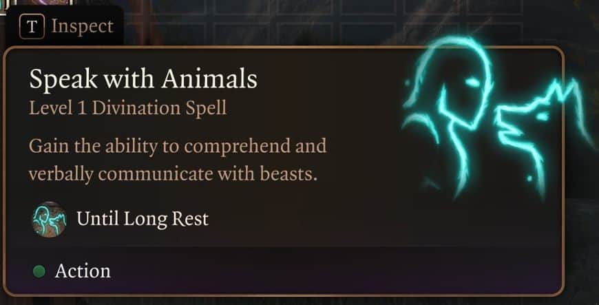 BG3 Speak with animals spell