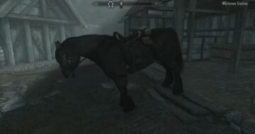 A black horse in the whiterun stables in Skyrim