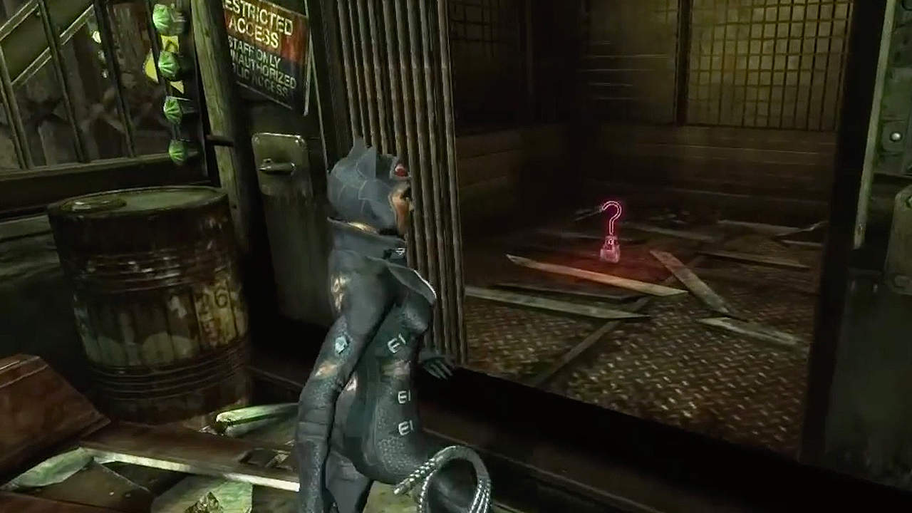 Batman Arkham City Catwoman Trophies