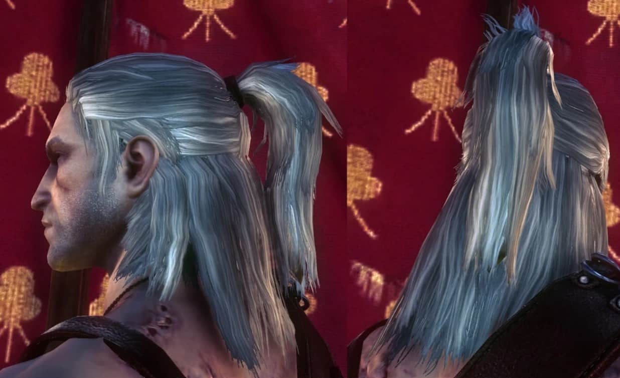 Rivian Ponytail in The Witcher 2