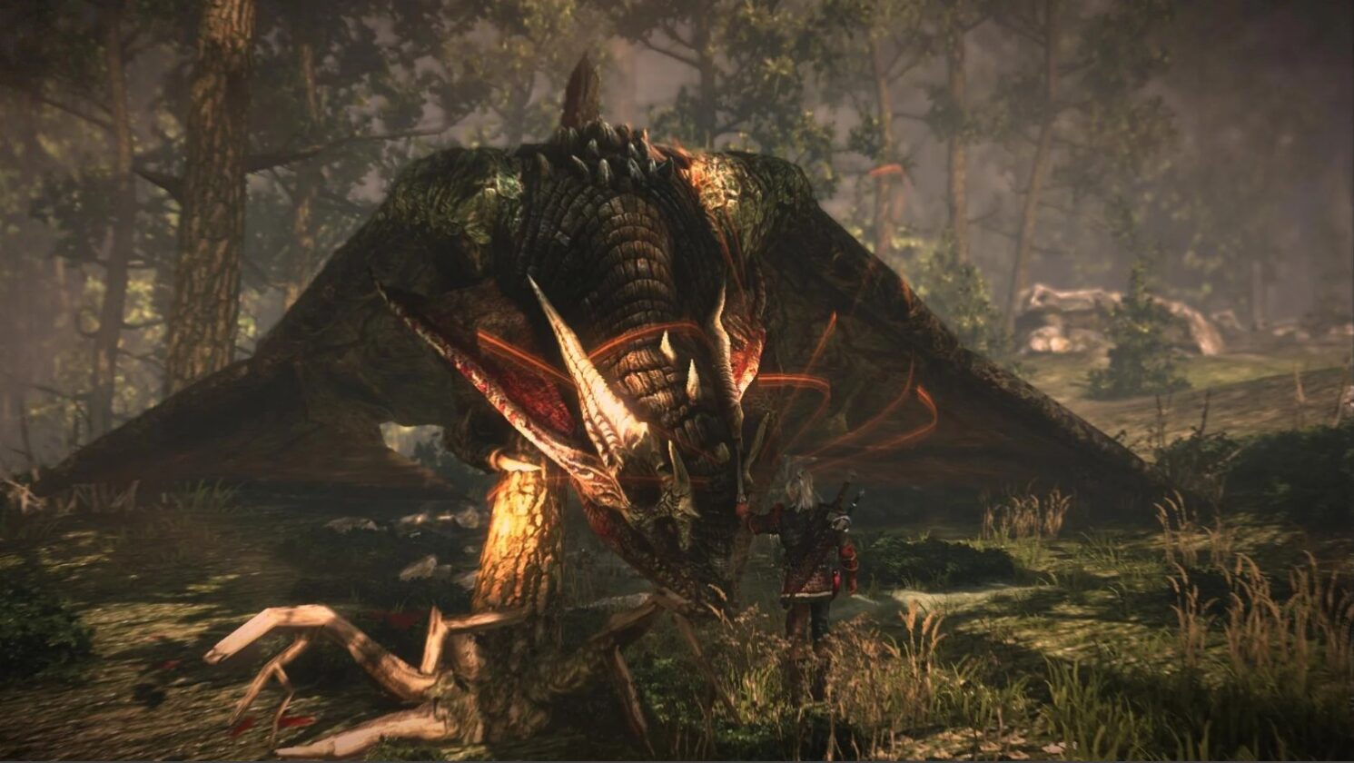 Should you Spare the Dragon or Kill it in the Witcher 2