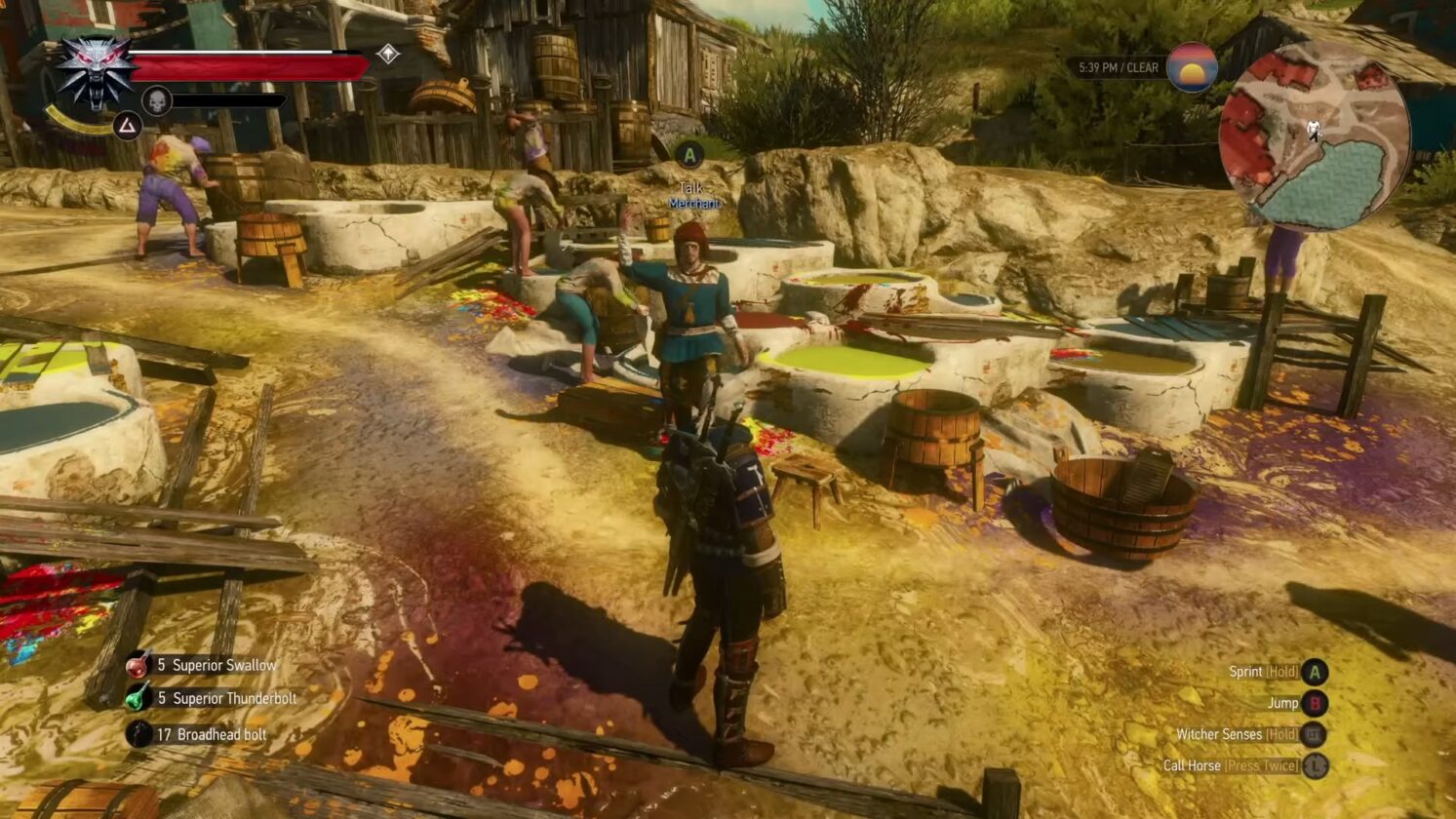 Dye merchant in the Witcher 3