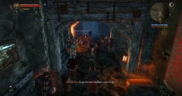 The Royal Blood Quest in The Witcher 2
