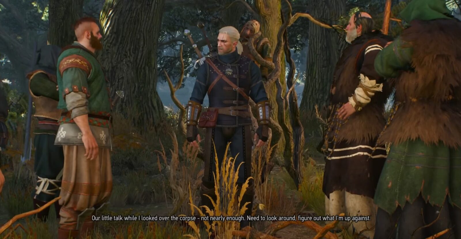 The Witcher 3 In the Heart of the Woods