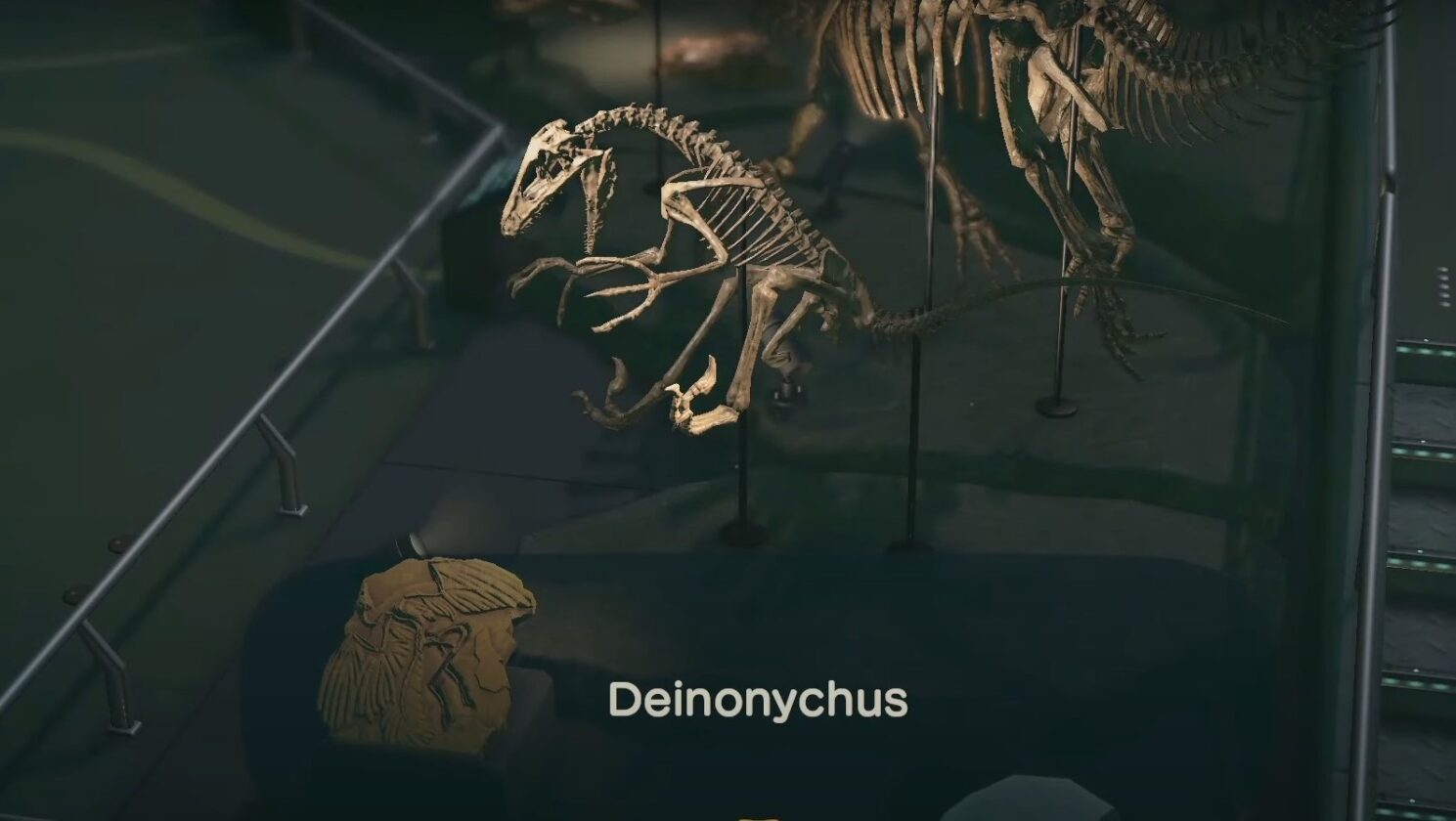 Animal Crossing New Horizons Fossils