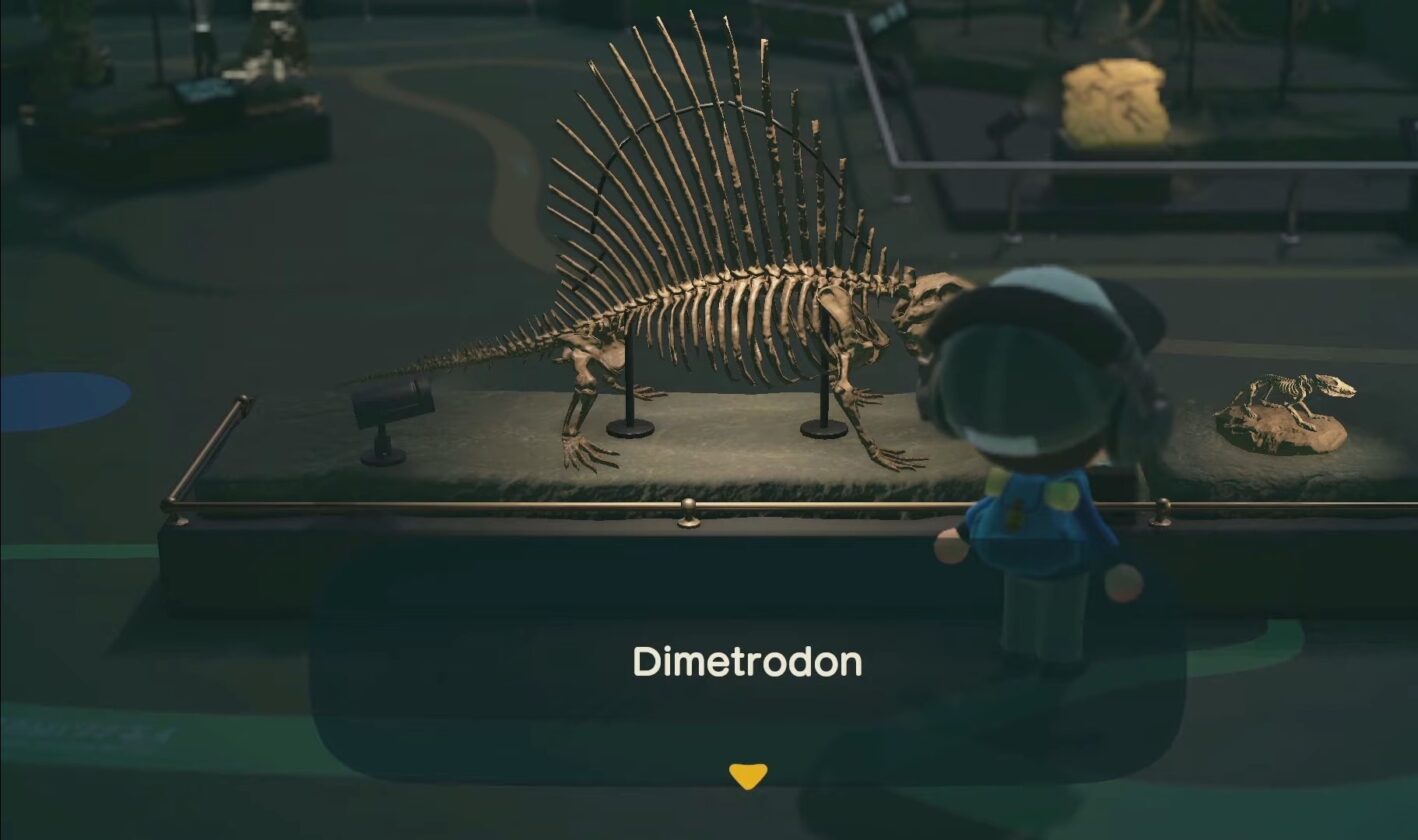 Animal Crossing New Horizons Fossils