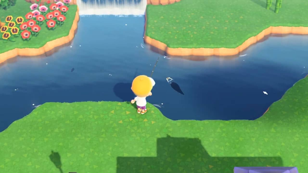Dorado Fish Shadow in Animal Crossing New Horizons