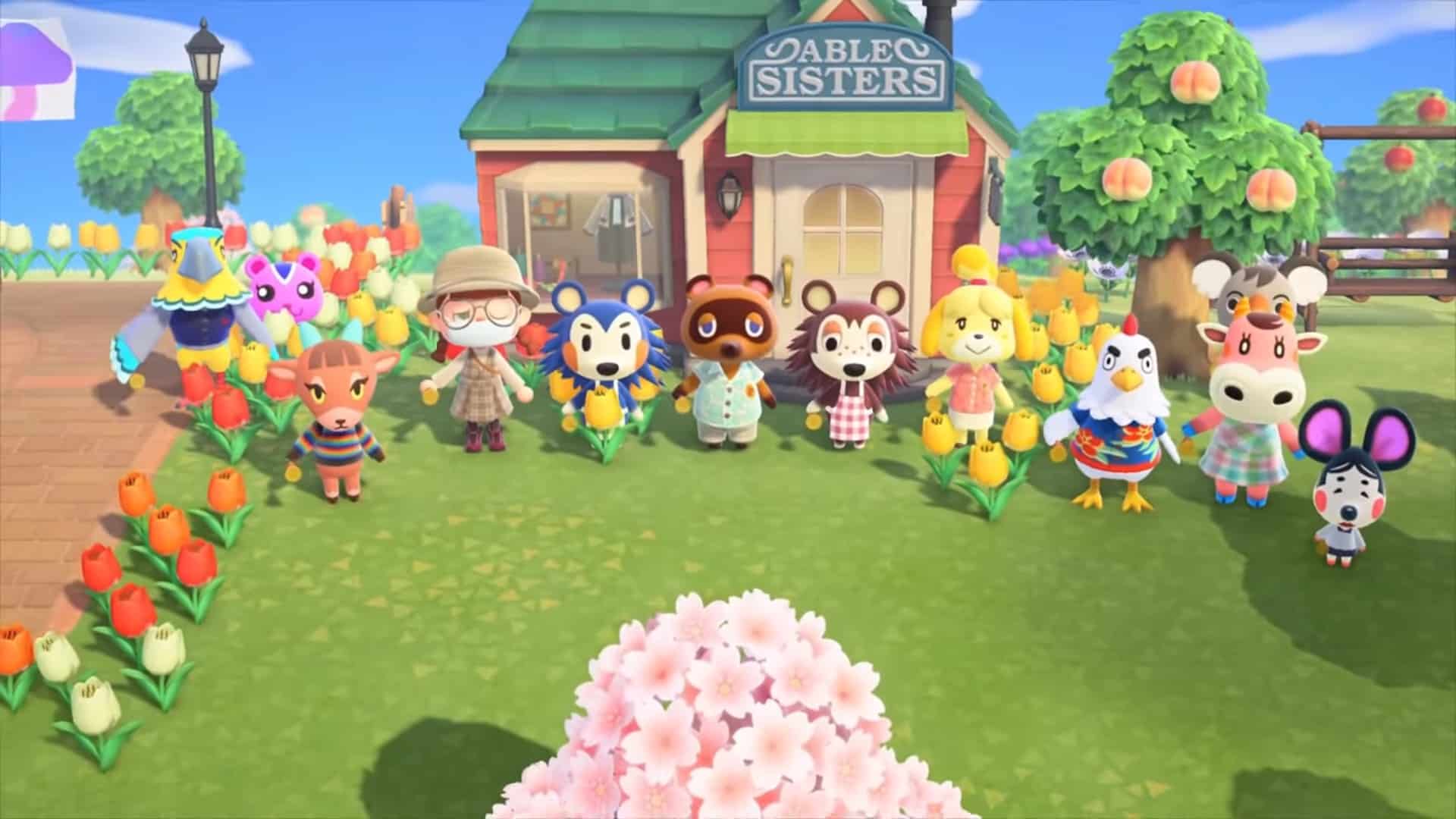 Second Week in Animal Crossing New Horizons